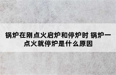 锅炉在刚点火启炉和停炉时 锅炉一点火就停炉是什么原因